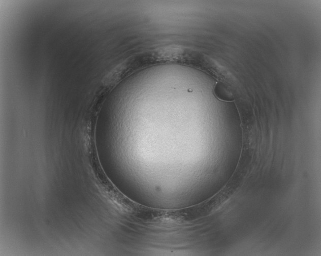 X0000069810737200605261748