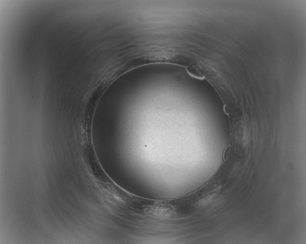 X0000069810743200605261748