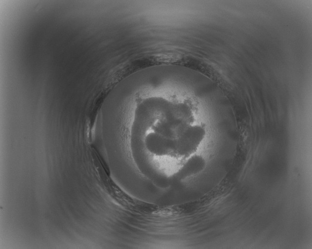 X0000069810745200605261748