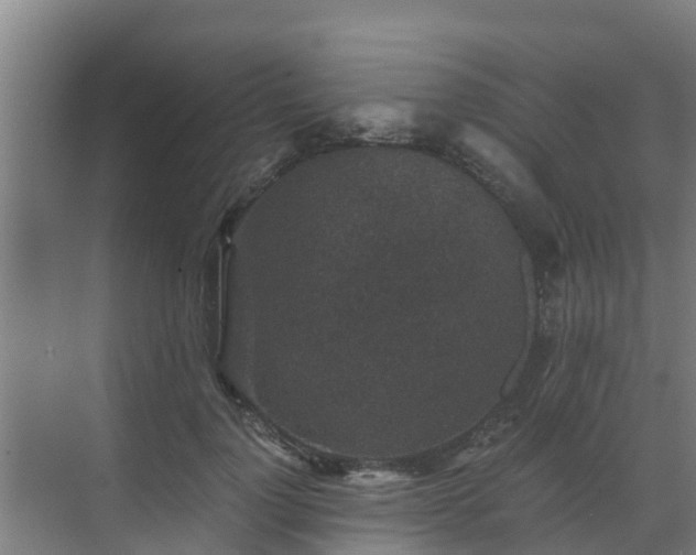 X0000069810748200605261748