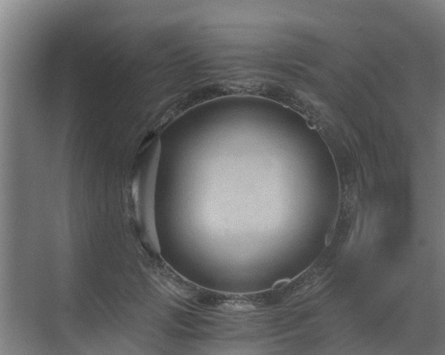 X0000069810749200605261748