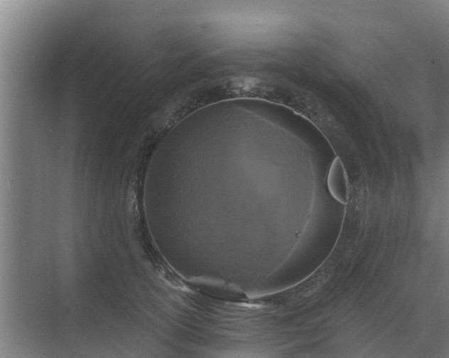 X0000069810754200605261748