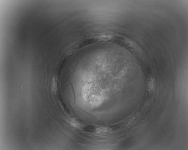 X0000069810757200605261748