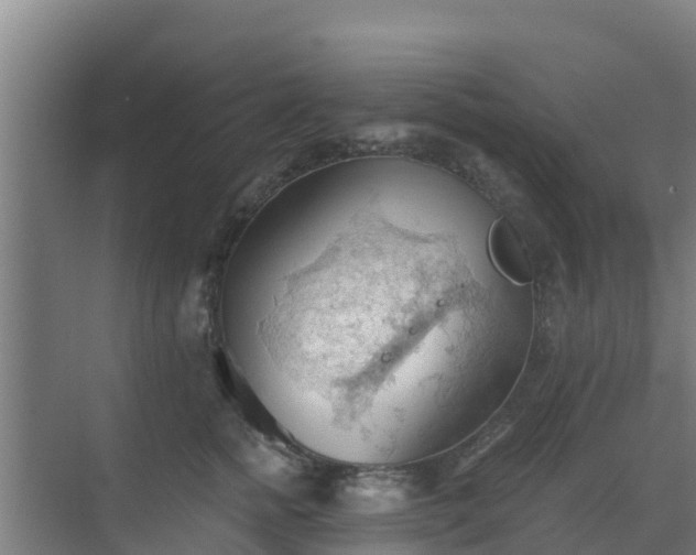 X0000069810758200605261748