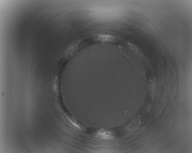 X0000069810760200605261748