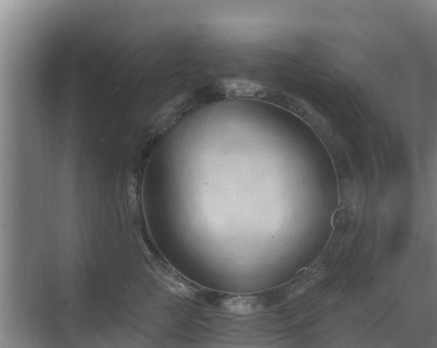 X0000069810761200605261748