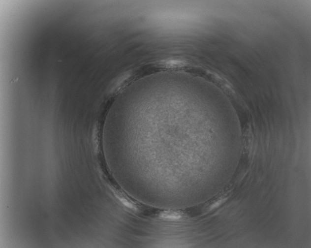 X0000069810762200605261748