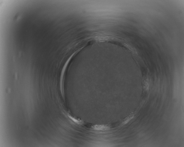 X0000069810766200605261748