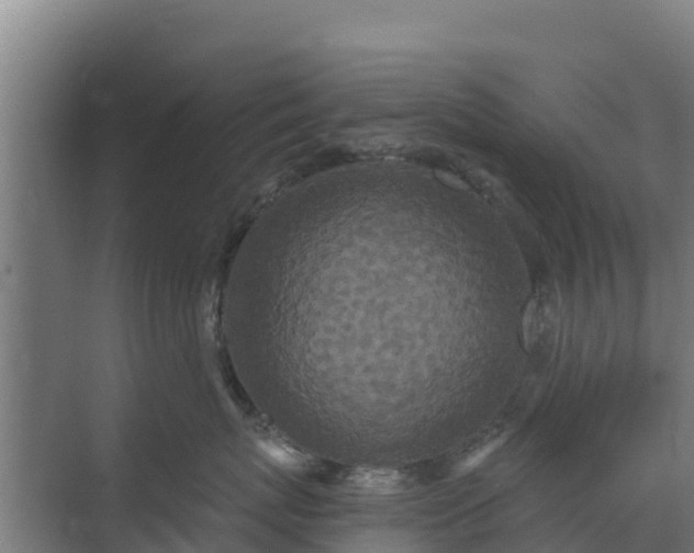 X0000069810767200605261748