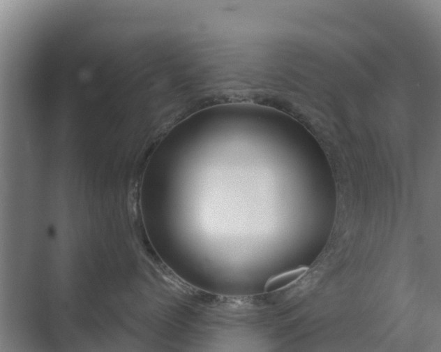 X0000069810768200605261748