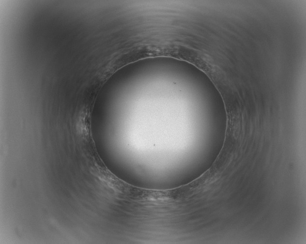 X0000069810770200605261747