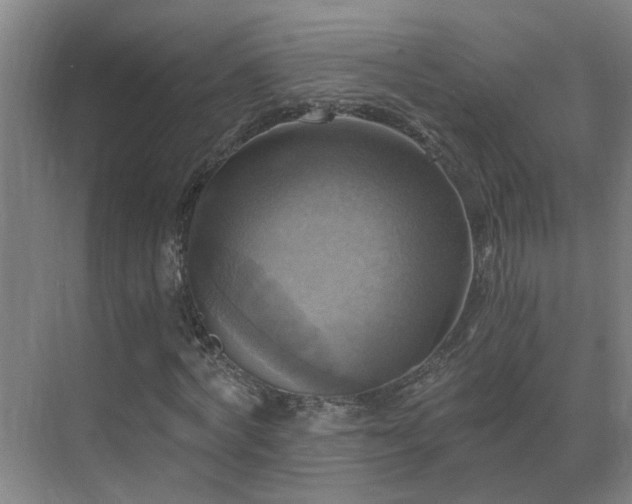 X0000069810772200605261747