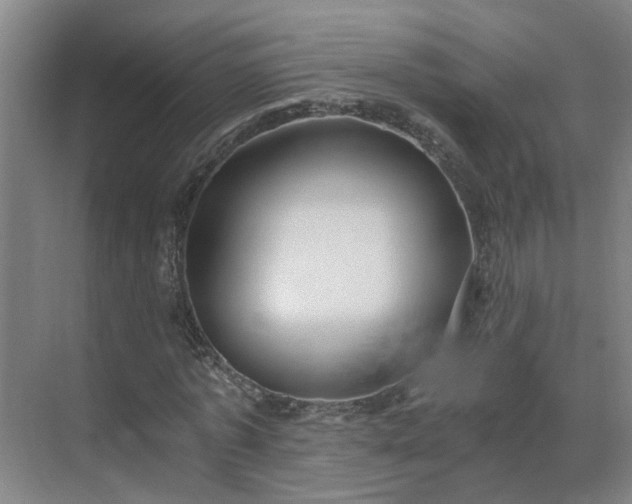 X0000069810773200605261747