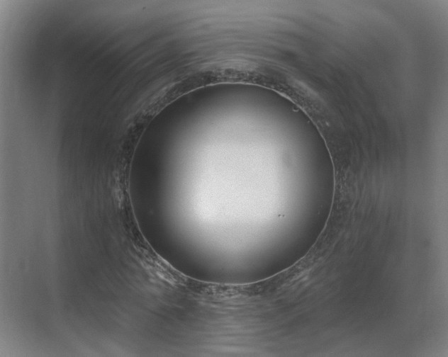 X0000069810774200605261747