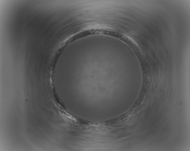 X0000069810775200605261747