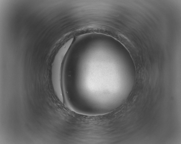 X0000069810776200605261747