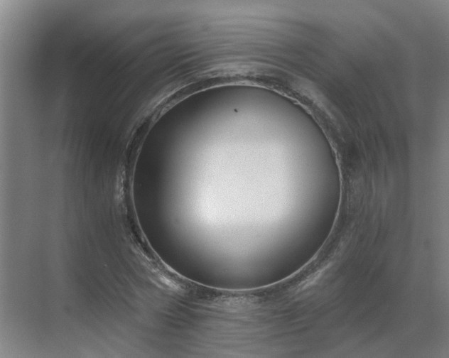 X0000069810778200605261747