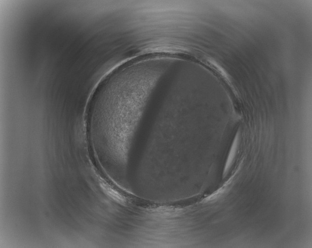 X0000069810779200605261747