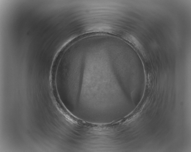 X0000069810780200605261747