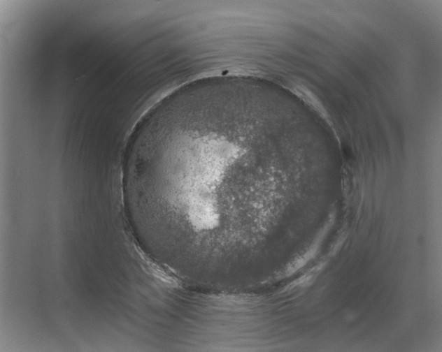 X0000069810781200605261747