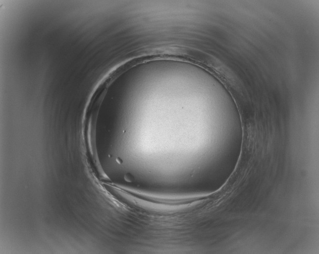 X0000069810784200605261747