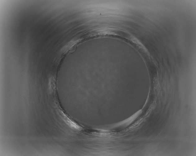 X0000069810785200605261747