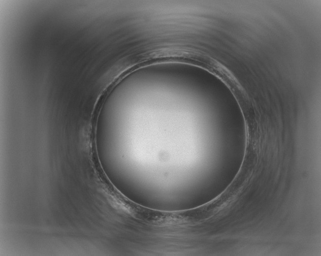 X0000069810786200605261747