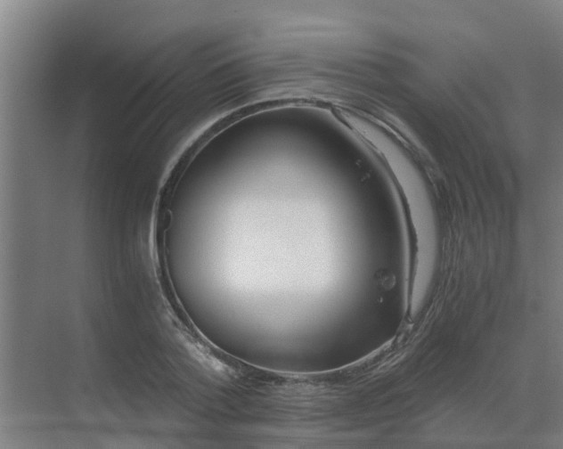 X0000069810788200605261747