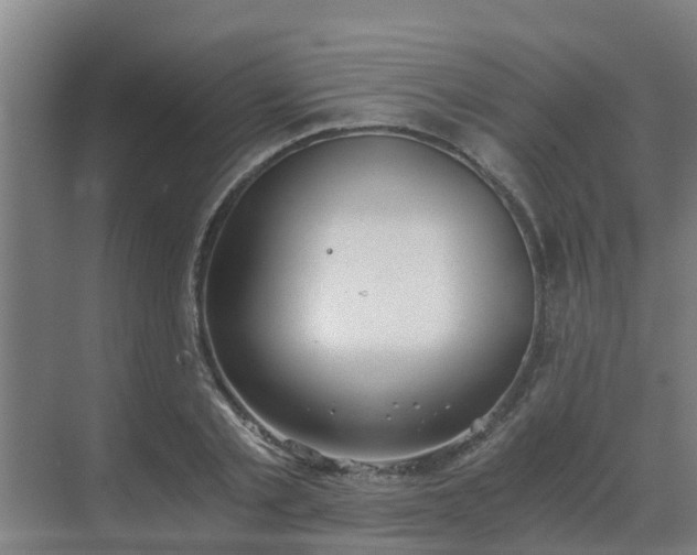 X0000069810789200605261747