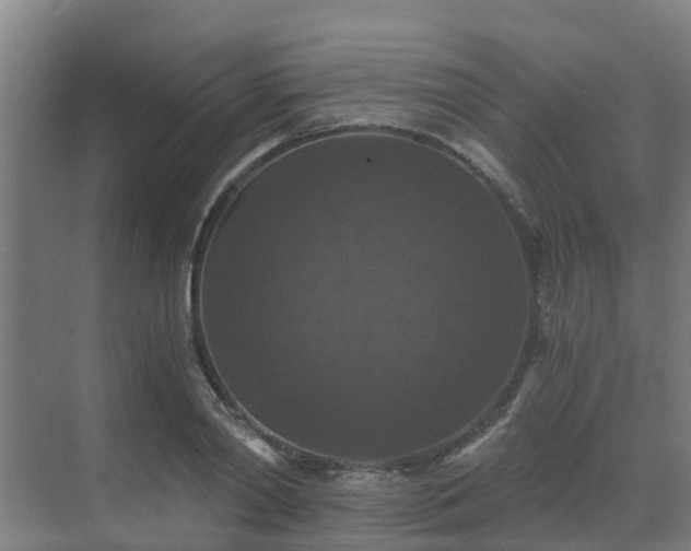 X0000069810790200605261747