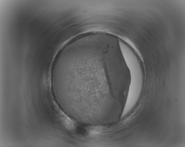 X0000069810791200605261747