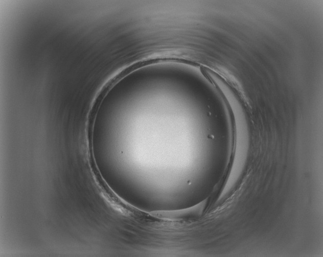 X0000069810792200605261747