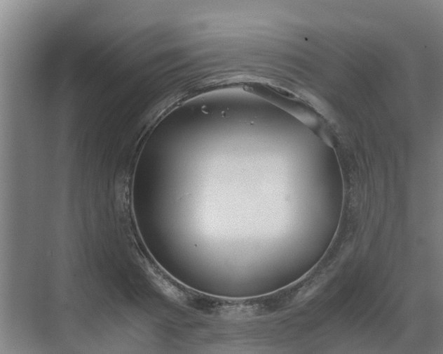 X0000069810793200605261747