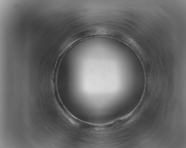 X0000069810794200605261747