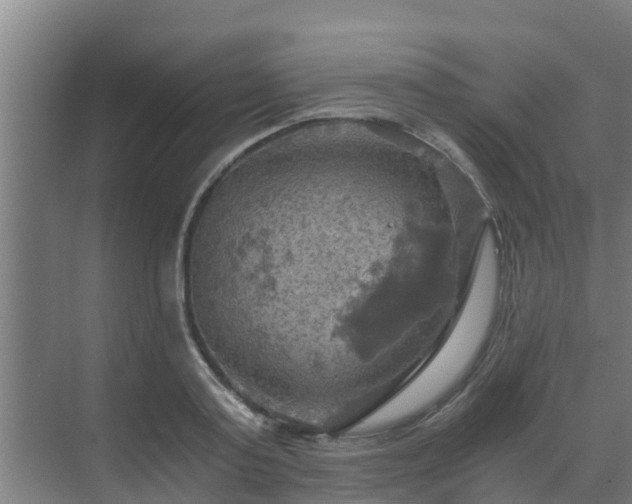 X0000069810795200605261747