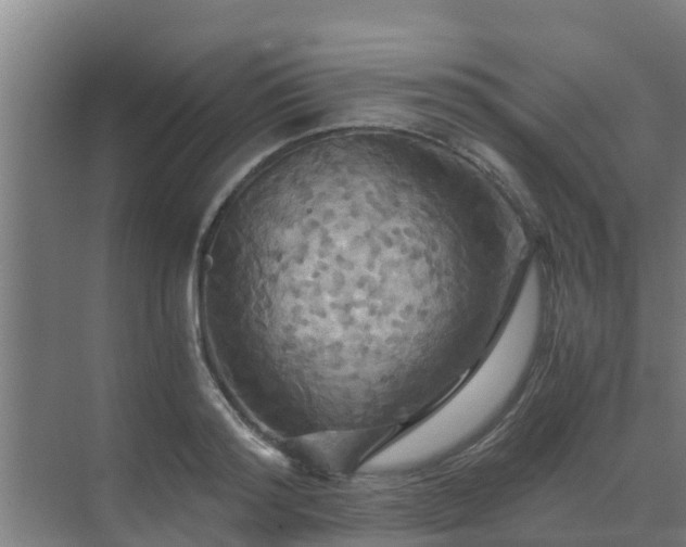 X0000069810796200605261747