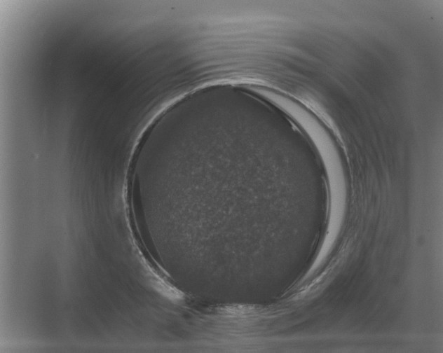 X0000069810797200605261747