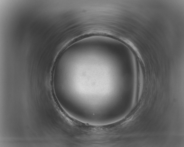 X0000069810799200605261747