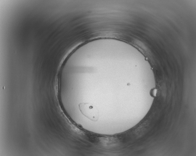 X0000069810804200605261747