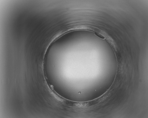 X0000069810805200605261747