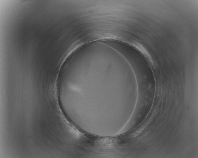 X0000069810806200605261747