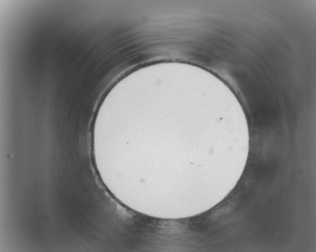 X0000069810807200605261747