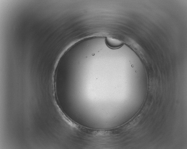 X0000069810808200605261747