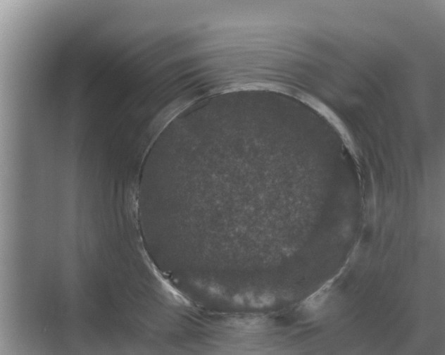 X0000069810809200605261747