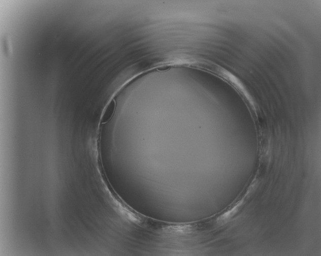 X0000069810810200605261747