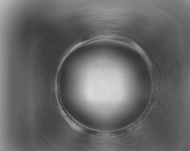 X0000069810811200605261747