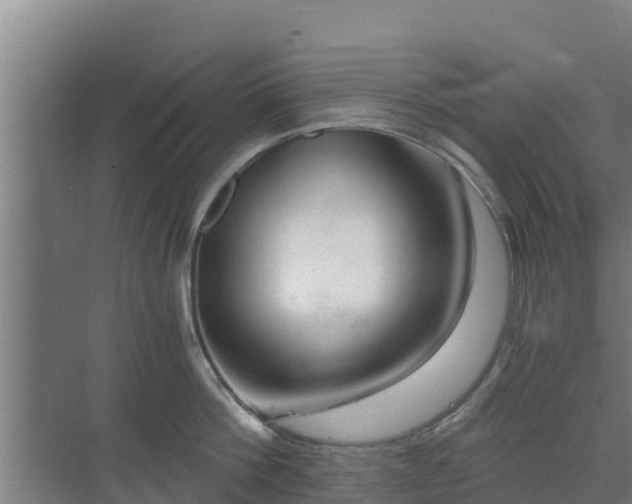 X0000069810812200605261747