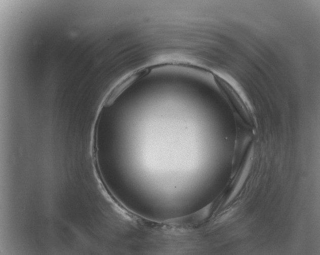 X0000069810815200605261747