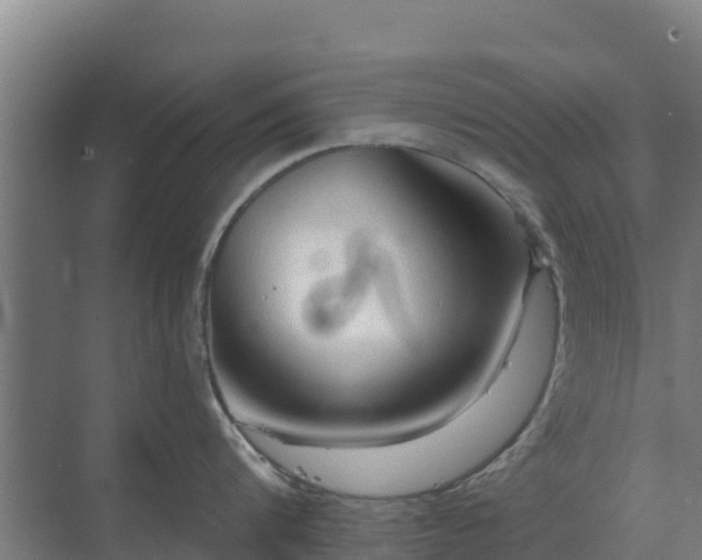 X0000069810816200605261747