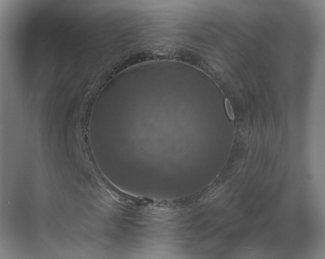 X0000069810817200605261746